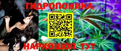 скорость Кингисепп