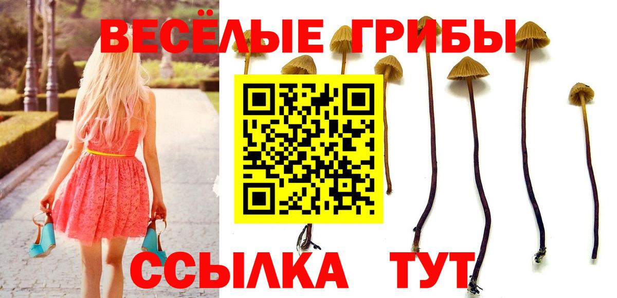 Галлюциногенные грибы мицелий  Галлюциногенные грибы мицелий  наркота  Вход с VPN  Заринск 